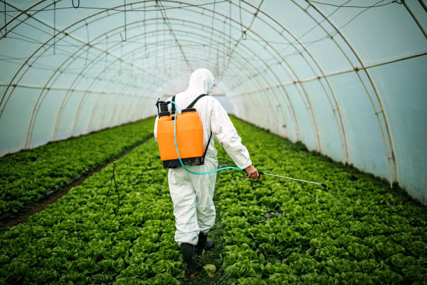 Reliable Shell Point, SC Pest Control Solutions