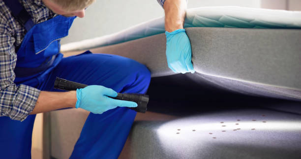 Best Residential Pest Control  in Shell Point, SC