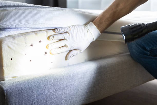 Best Affordable Pest Control Services  in Shell Point, SC